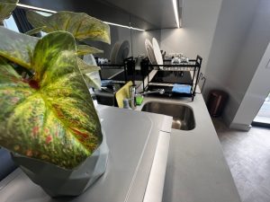 3424b0c9-5011-4caa-ae54-1a04c73ba675